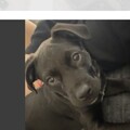   : Luna