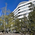 Renting out: A spacious and luminous apartment (Tapiola)