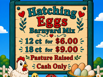 Selling with In-person Payment: Barnyard Mix Hatching Eggs