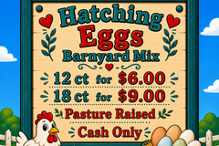 Selling with In-person Payment: Barnyard Mix Hatching Eggs