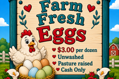 Selling with In-person Payment: Farm Fresh Eggs