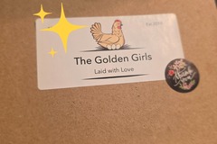 Selling with online payment: Fresh eggs available 