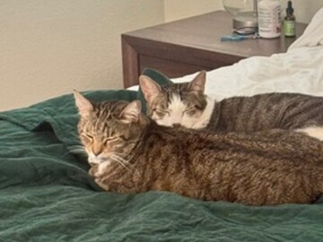  : Duke and Daisy