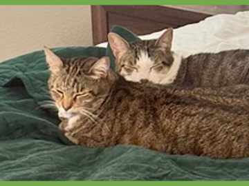  : Daisy and Duke