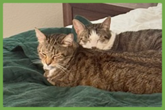  : Daisy and Duke