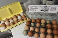 Selling with In-person Payment: Fresh eggs 