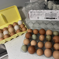 Selling with In-person Payment: Fresh eggs 