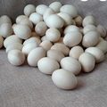 Selling with In-person Payment: Duck eggs
