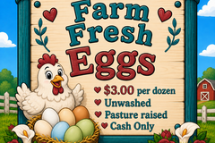 Selling with In-person Payment: Farm Fresh Eggs
