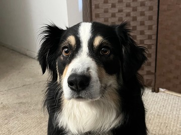   : Sasha