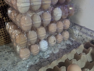 Selling with In-person Payment: Fresh Unwashed Eggs in Spanaway, WA