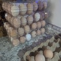 Selling with In-person Payment: Fresh Unwashed Eggs in Spanaway, WA