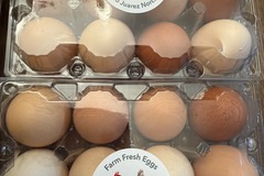 Selling with In-person Payment: Organic farm fresh chicken eggs Norco California 