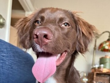   : Rudy