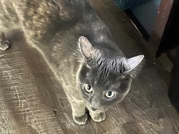   : Gary