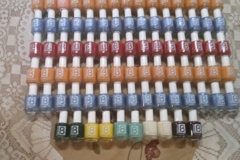 Bulk Lots: Lot of 100 Bettina Nail Polish Assorted Colors