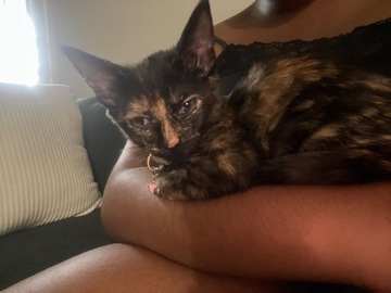   : Peaches 