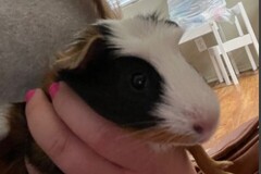   : Abby