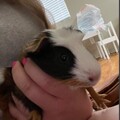   : Abby