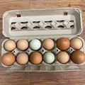Selling with In-person Payment: Organic farm fresh free range chicken eggs