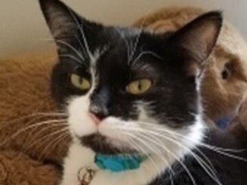   : Millie