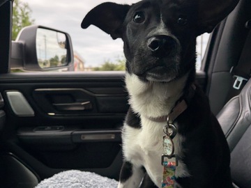   : Luna