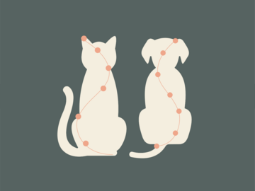 Wellness Session Single: Energy Alignment for Pets with Aline