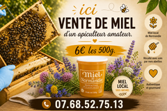 Les miels : Miel de printemps 