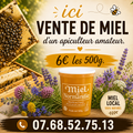 Les miels : Miel de printemps 