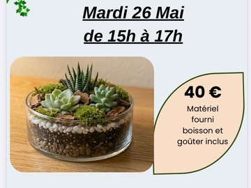 Offre: Atelier terrarium