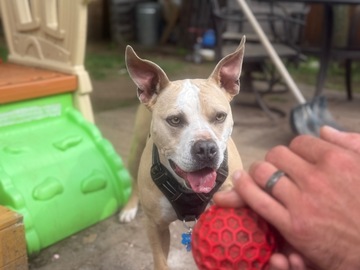   : Nyla 