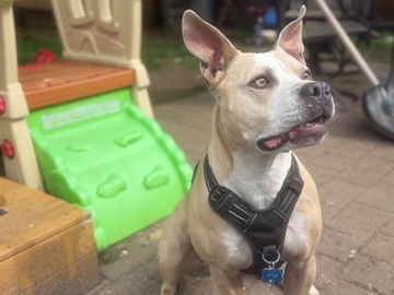   : Nyla 