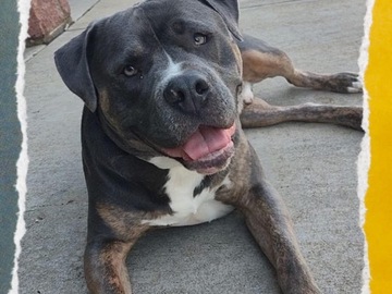   : Cooper