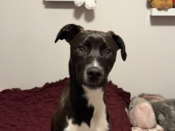   : Duncan