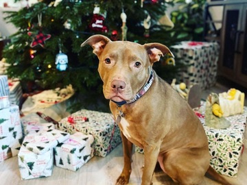   : Lena