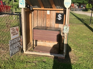 Selling with In-person Payment: Fresh eggs chicken and duck