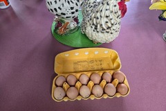 Selling with In-person Payment: Fresh yard eggs 