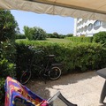 Offre: A louer studio La Grande Motte (Hérault) en juillet/août 