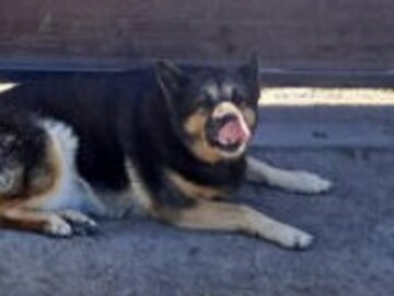   : Abby