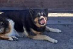   : Abby