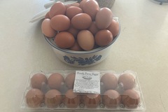 Selling with In-person Payment: unwashed fresh eggs
