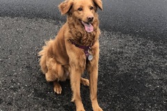   : Luna