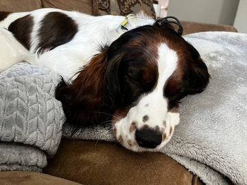   : Maggie