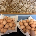 Selling with In-person Payment: Fresh Chicken Eggs