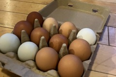 Selling with In-person Payment: Family Farm Eggs