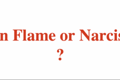 Selling: Twin Flame or Narcissist? In Depth Guidance Reading + Booklet