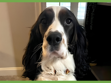  : Maggie