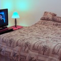 Renting Out with no Availability Calendar: 251 Furnished Master Bedroom Suite to Rent (Effective 07/01/26)