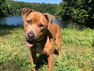   : Odin