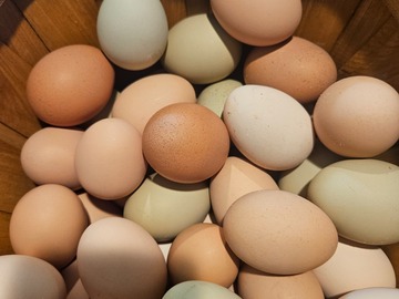Selling with online payment: Fresh unwashed eggs